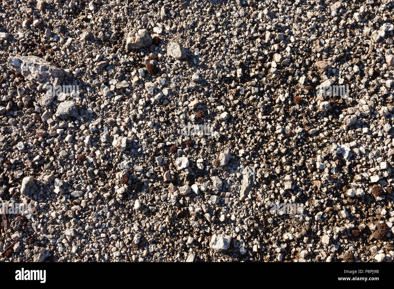 Texture di ghiaia dal ghiaione di montagna Foto Stock