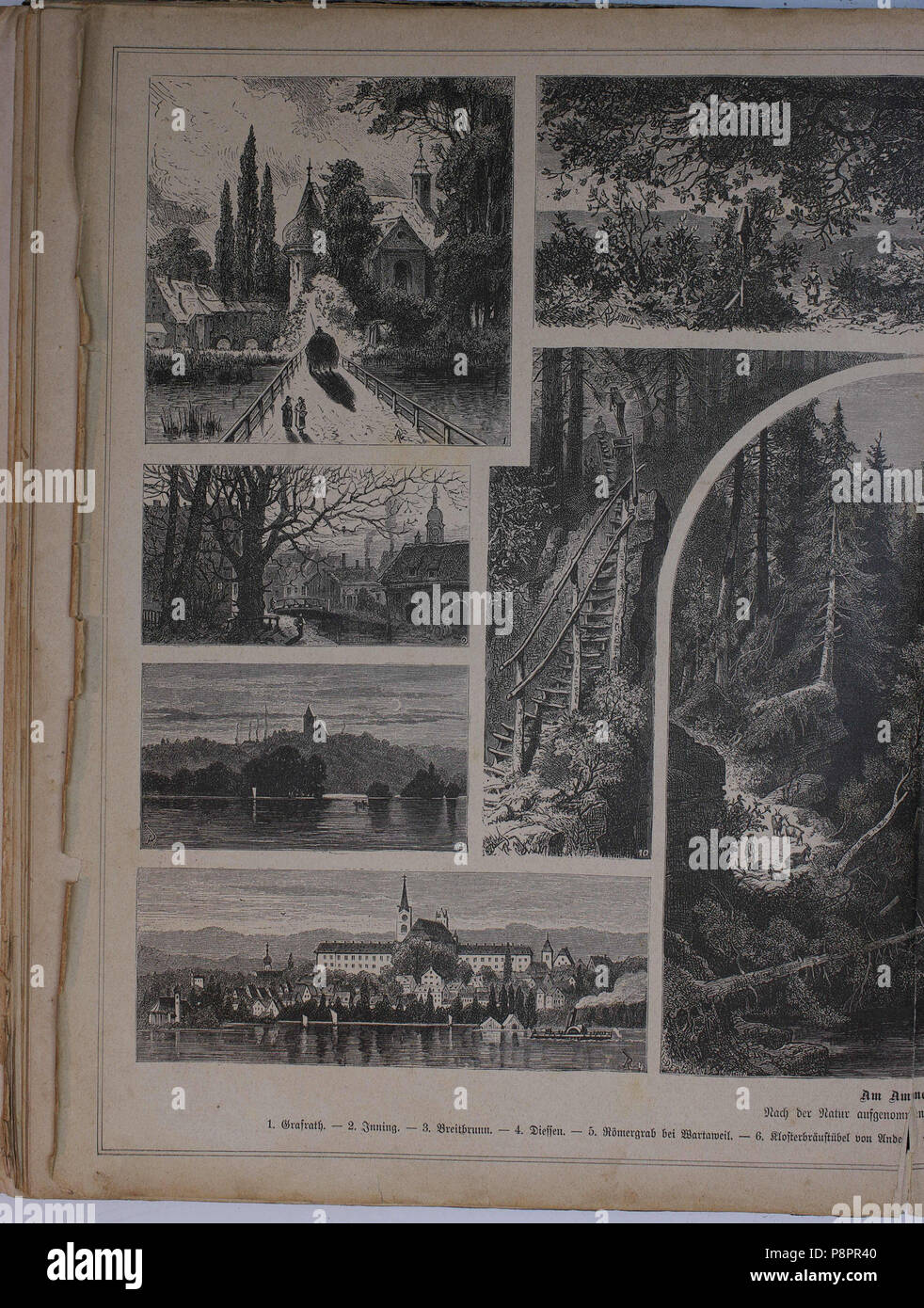 . 201 Die Gartenlaube (1881) 516 Foto Stock