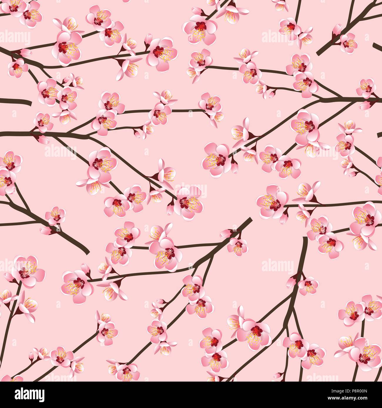 Momo pesca fiore Blossom Seamless su sfondo rosa. Illustrazione Vettoriale. Illustrazione Vettoriale