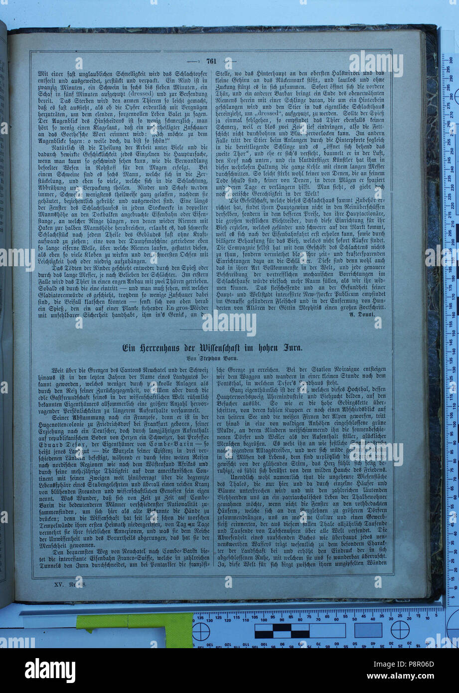 . 142 Die Gartenlaube (1867) 761 Foto Stock