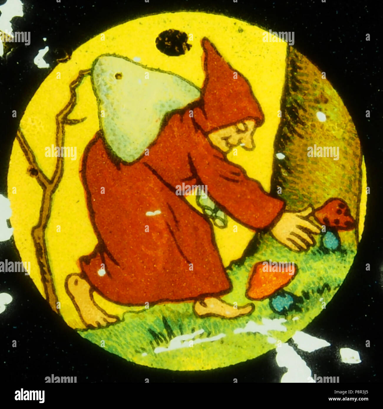 . 428 Monaco la raccolta di funghi immagine 2 Foto Stock