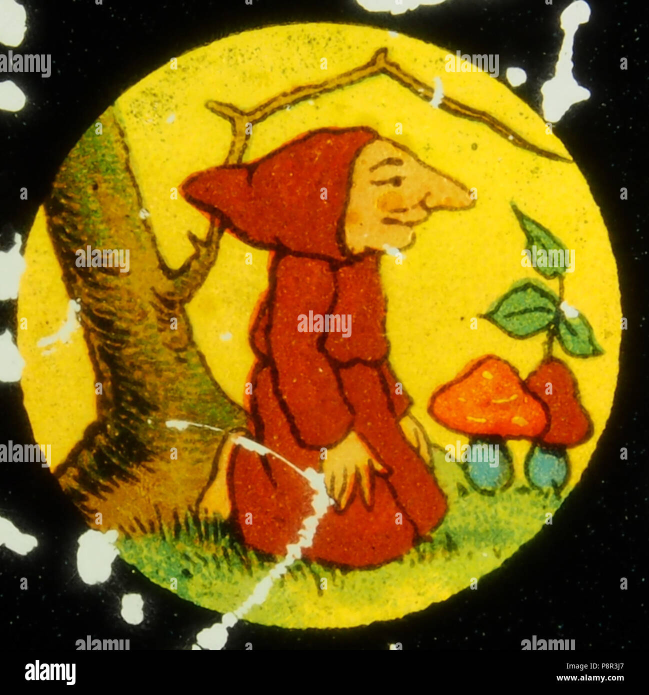 . 428 Monaco la raccolta di funghi foto 4 Foto Stock