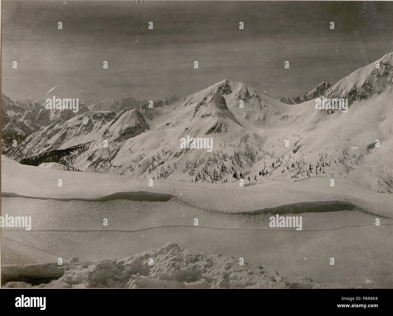 . 582 Wie Nr, 3306. Fortsetzung nach links. (BildID 15799902) Foto Stock