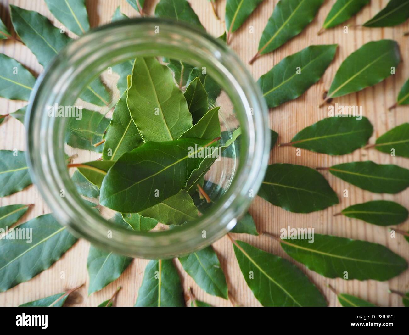 Foglie di alloro in un bicchiere Foto Stock