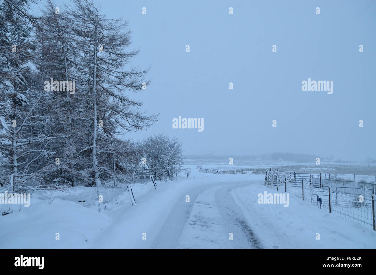 Una tempesta di neve nelle Highlands scozzesi Foto Stock