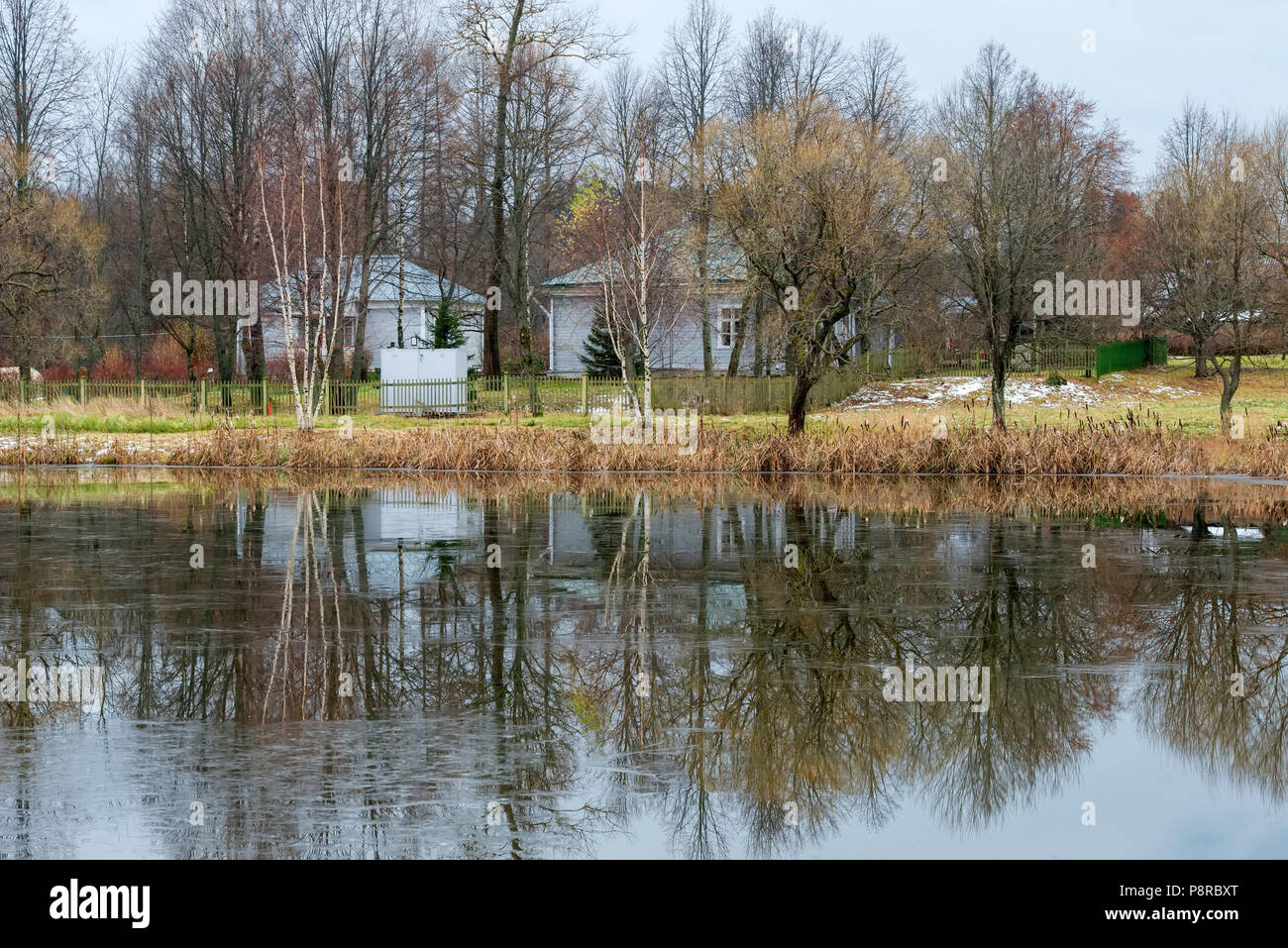 TARAKANOVO, Russia - 5 Novembre 2017: Stagno tardo autunno ricoperta di ghiaccio sottile. Tarakanovo Museum-Reserve di Mendeleyev e AA Blok Solnechnogorsk dis Foto Stock