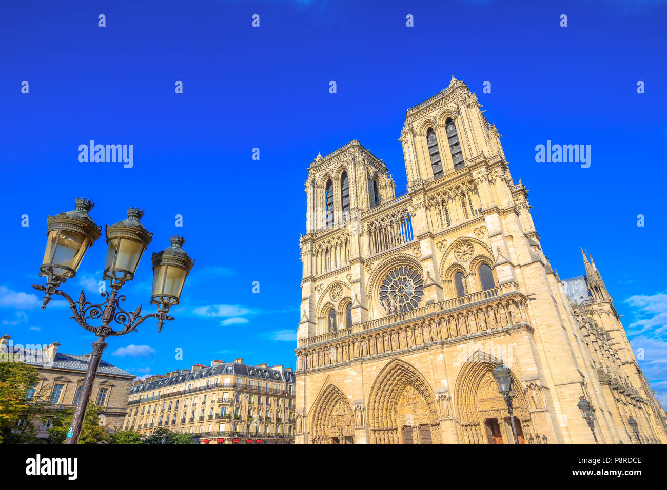 Tipica strada di ferro con lampada e la Cattedrale di Notre Dame de Paris in background, famoso punto di riferimento e la cattedrale della capitale della Francia. Gotica architettura francese di Nostra Signora di Parigi in una giornata di sole e cielo blu. Foto Stock