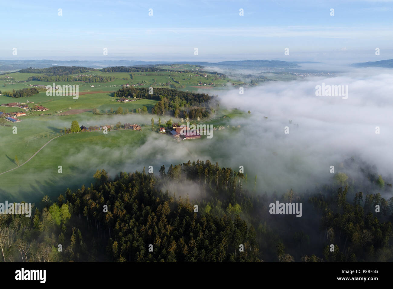 Vista aerea delle Prealpi in Svizzera su una mattina di primavera con un po' di nebbia di mattina Foto Stock