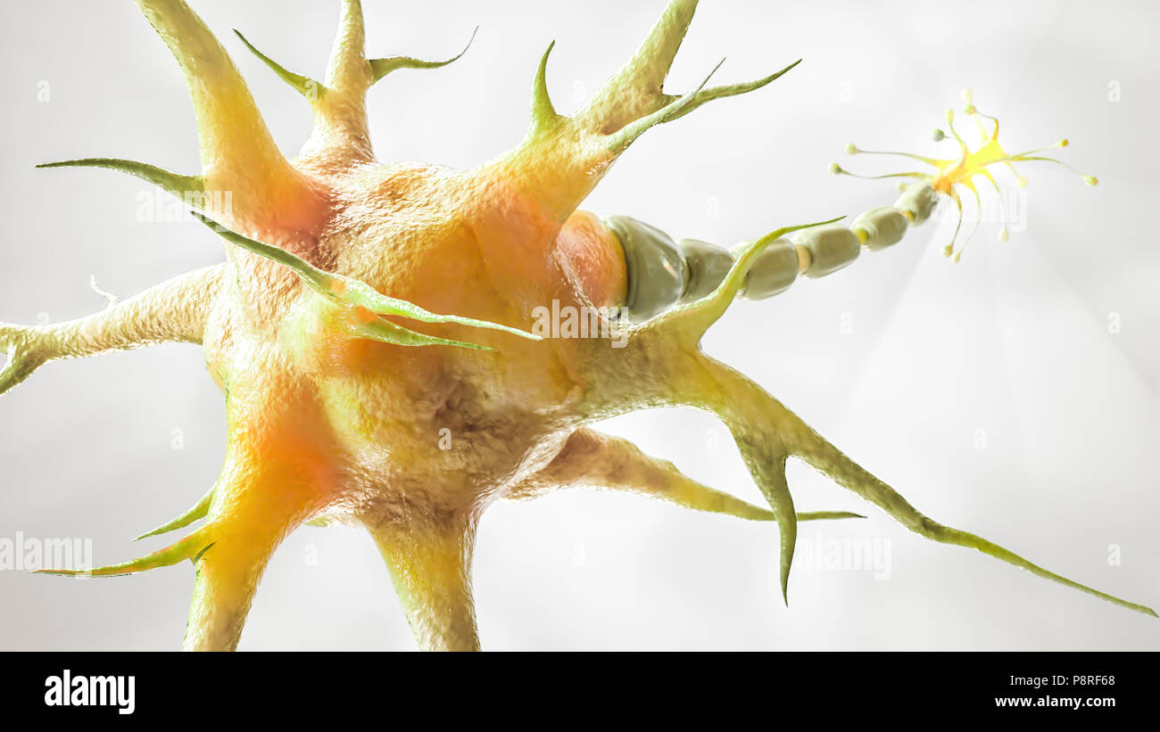 Cellula cerebrale su sfondo bianco -- 3D Rendering Foto Stock