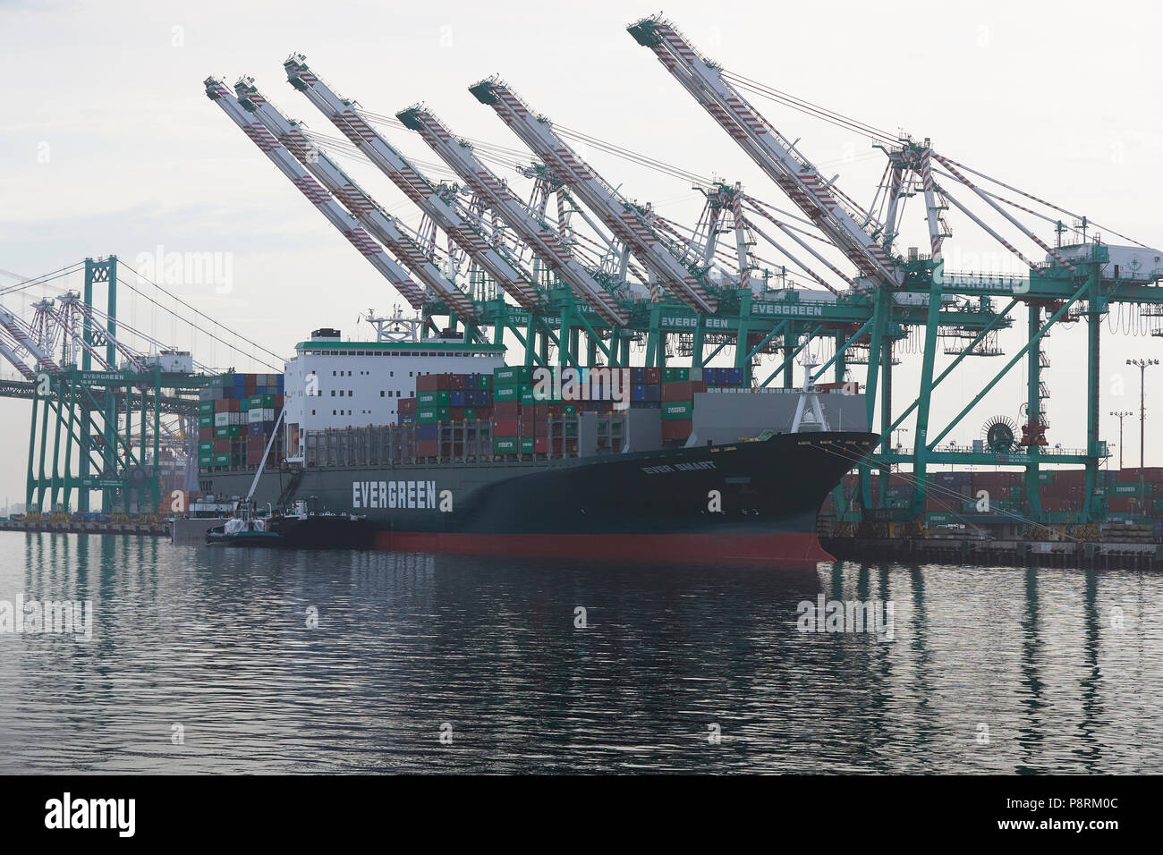 Evergreen nave portacontainer, MAI SMART, bunkeraggio (rifornimento) nel EVERPORT terminale per container nel porto di Los Angeles, California, USA. Foto Stock