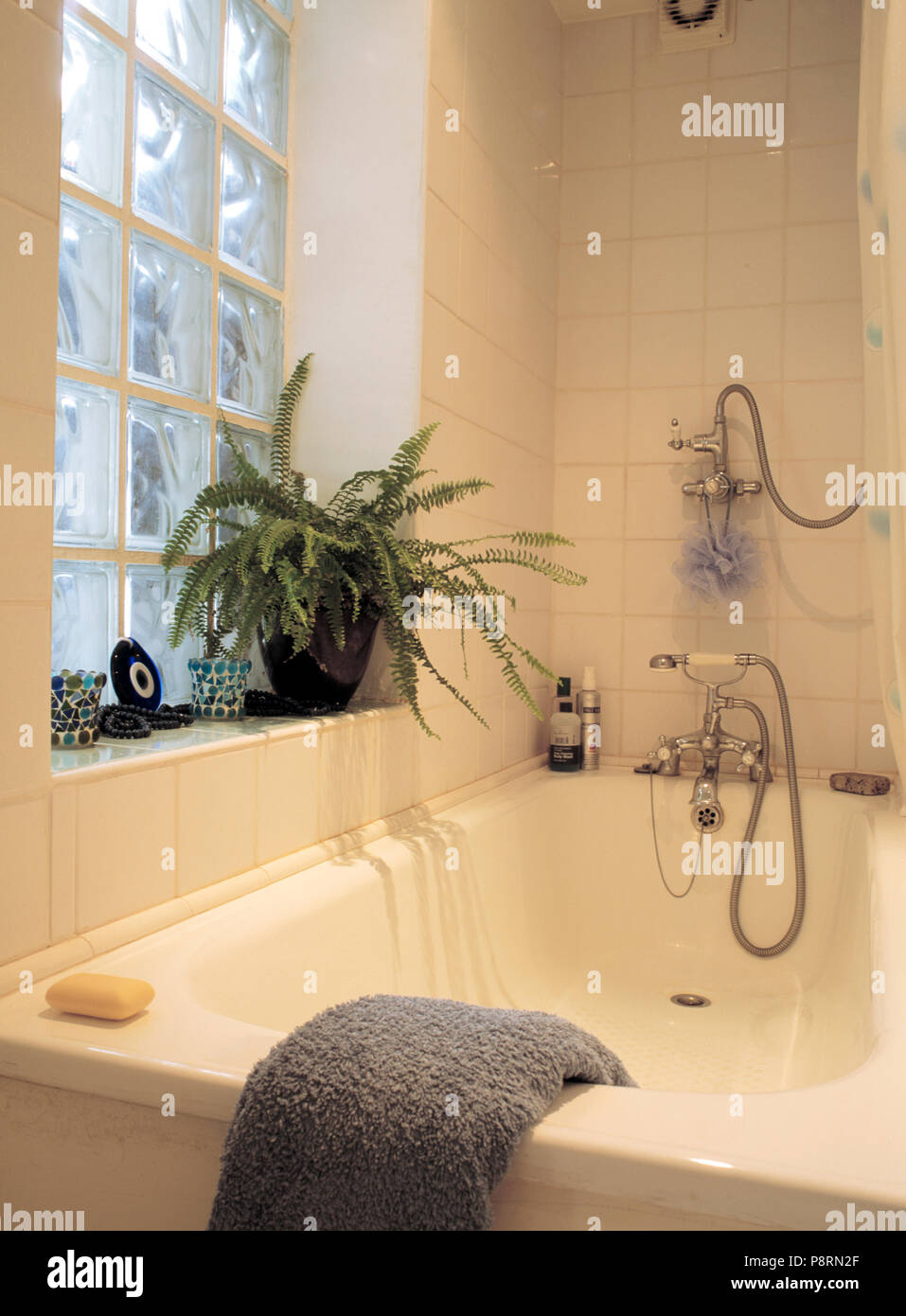 Bagno con doccia cromo in piccolo bagno in piastrelle bianche con Boston fern sul davanzale di seguito mattone di vetro finestra interna Foto Stock