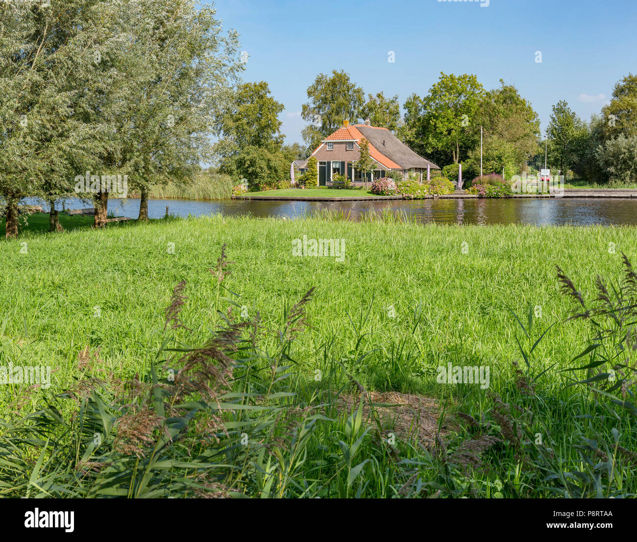 Un agriturismo in corrispondenza di un canale, Belt-Schutsloot, Overijssel Foto Stock Un agriturismo in corrispondenza di un canale, Belt-Schutsloot, Overijssel Foto Stock