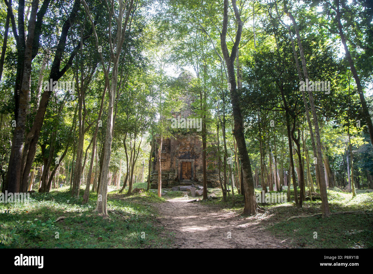 Le rovine khmer di Sambor Prei Kuk rovine a nord della città di Kampong Thom della Cambogia. Cambogia, Kampong Thom, novembre 2017, Foto Stock