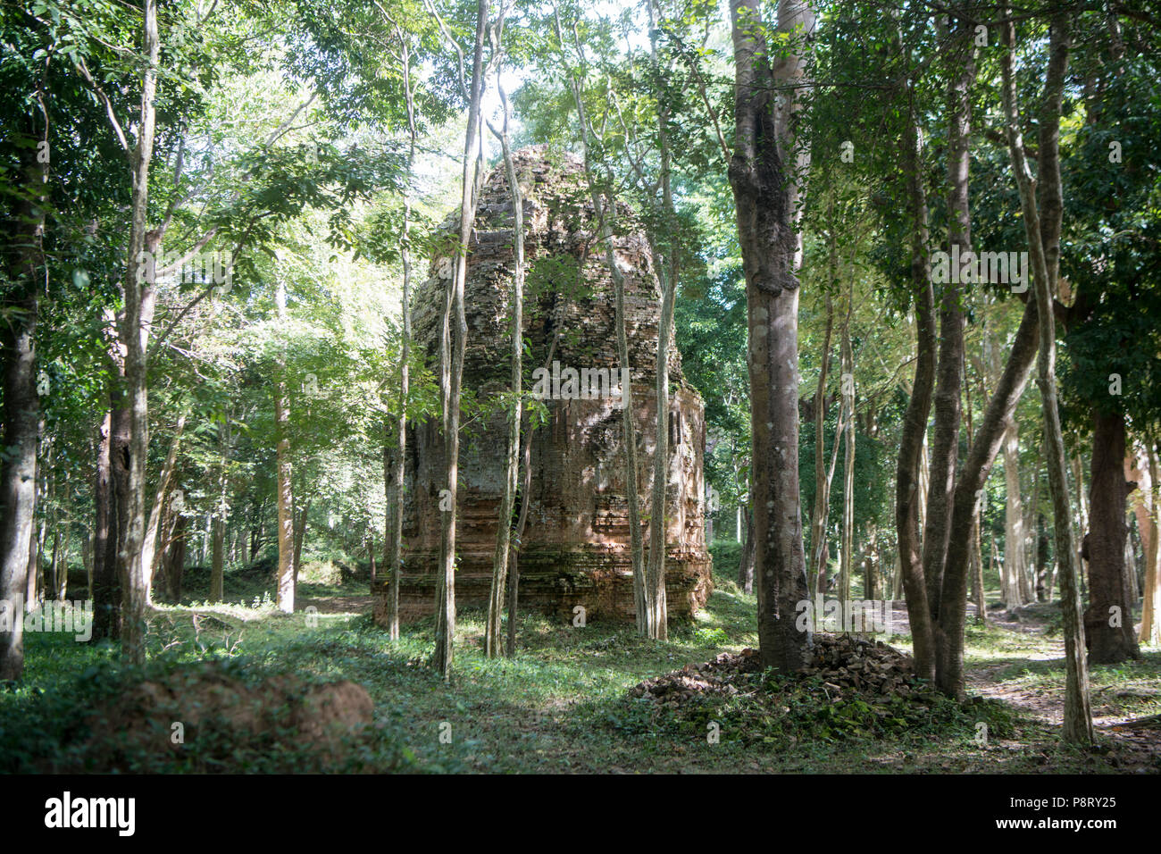 Le rovine khmer di Sambor Prei Kuk rovine a nord della città di Kampong Thom della Cambogia. Cambogia, Kampong Thom, novembre 2017, Foto Stock