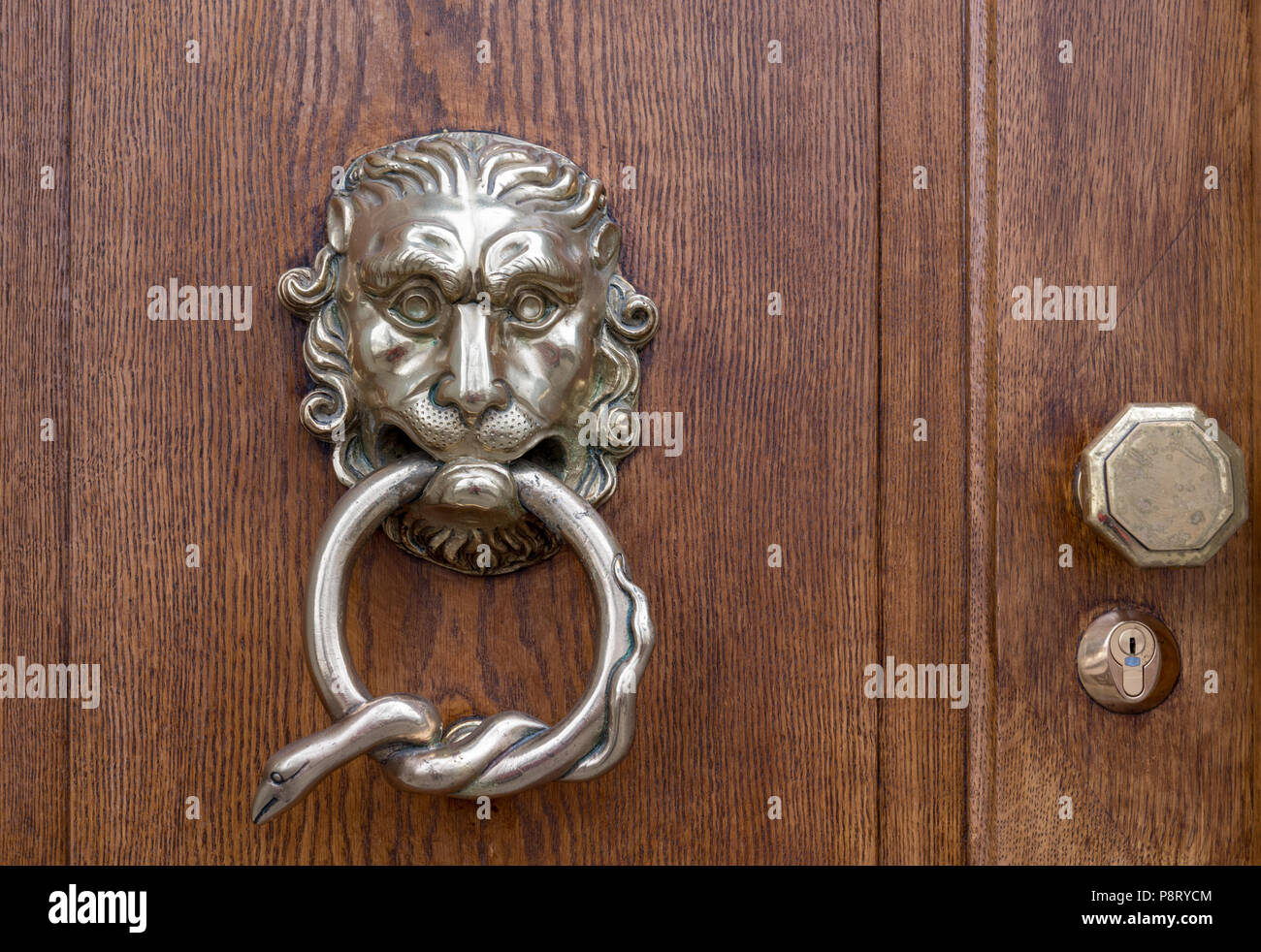 Testa leone respingente porta sulla porta di legno Foto Stock