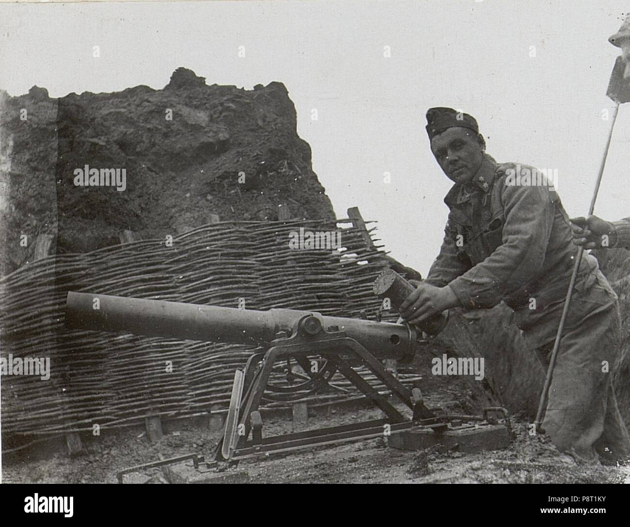 . 23 9cm M.14 Minenwerfer BildID (15721349) Foto Stock