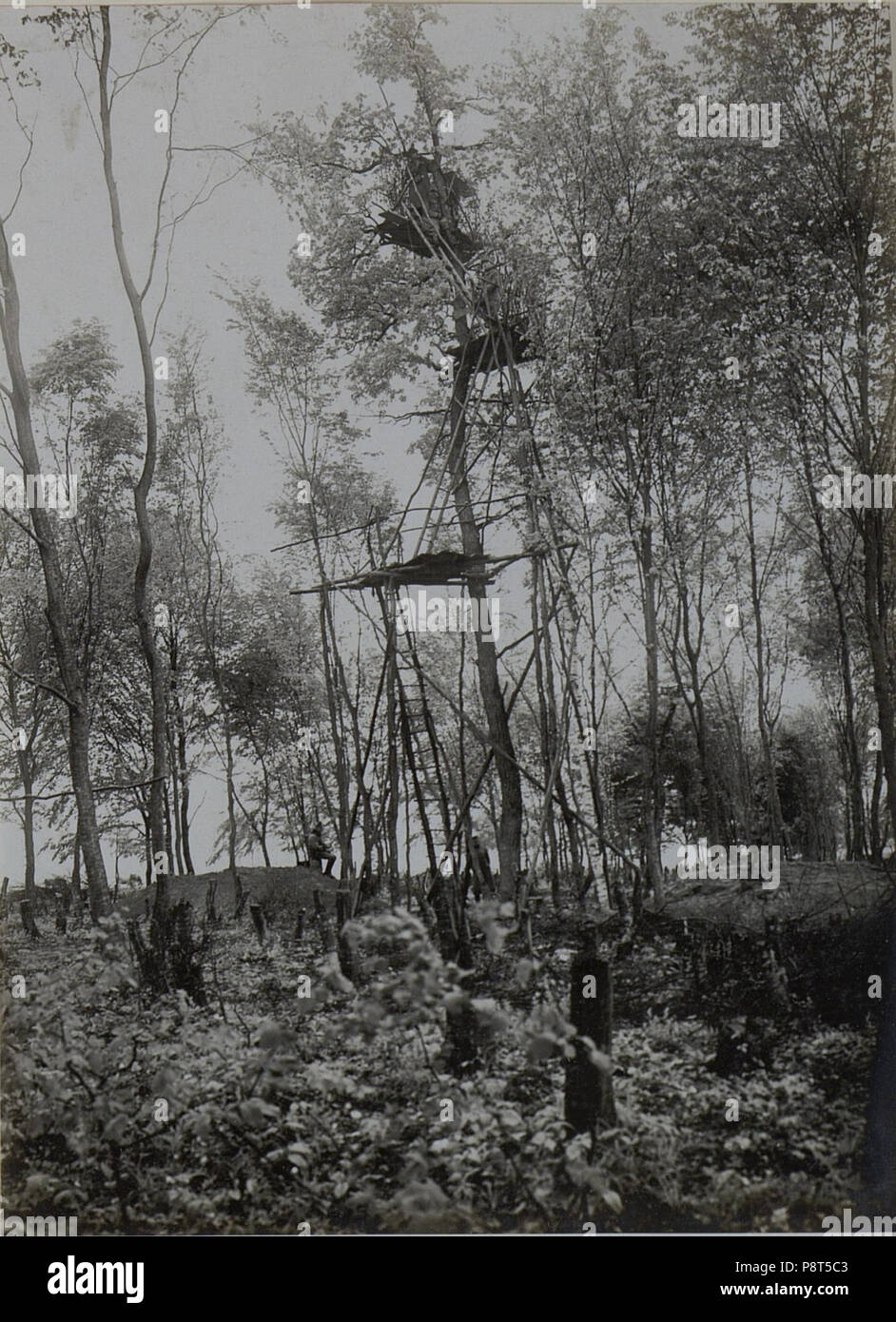 . 40 Artillerie Beobachtungsstand in Medwedowce. (BildID 15450736) Foto Stock