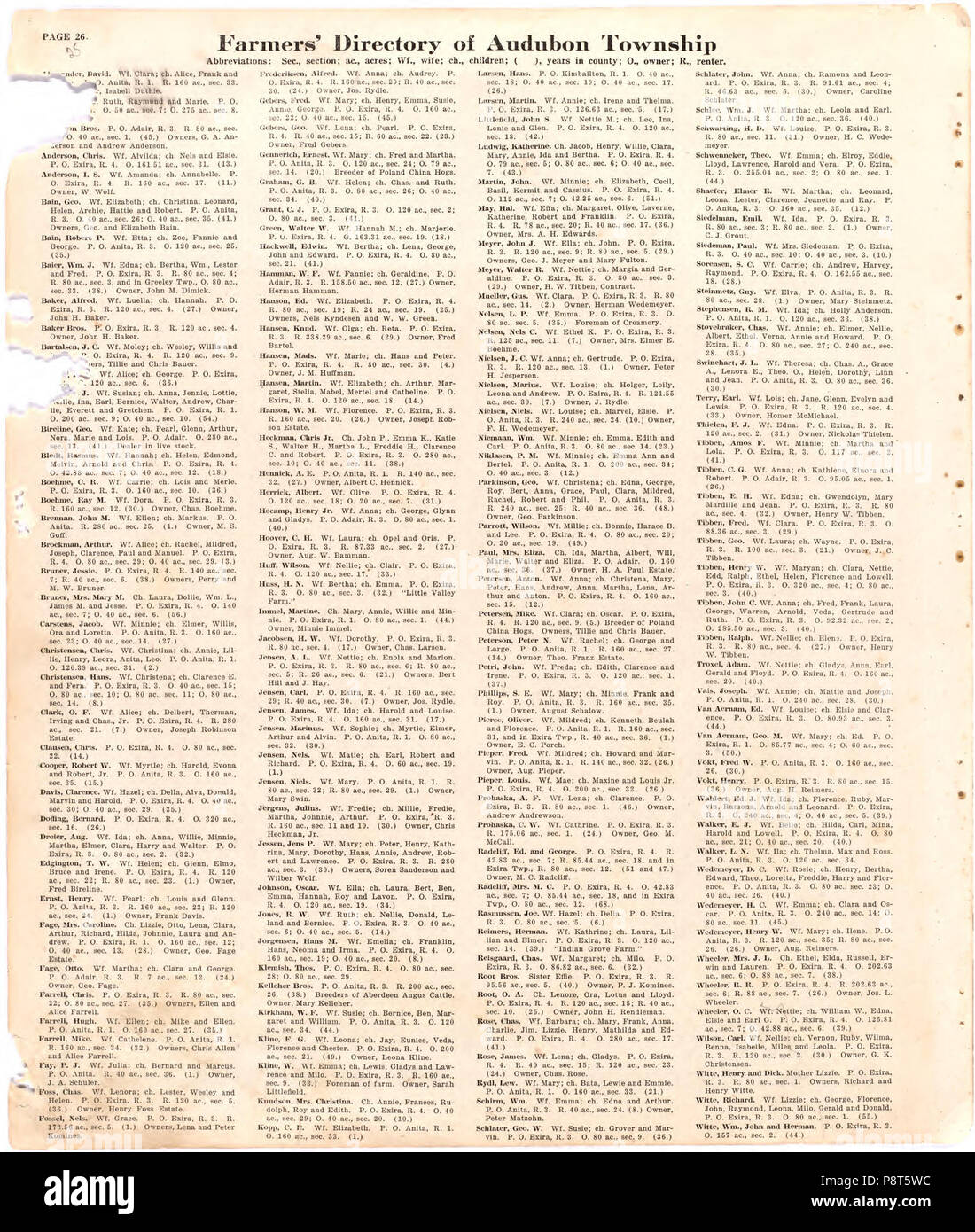 . 41 Atlas di Audubon County, Iowa - contenente le mappe di township della contea, mappe di stato, gli Stati Uniti e il mondo gli agricoltori directory, analisi del sistema degli Stati Uniti per le indagini di terra. LOC 2007626985-27 Foto Stock