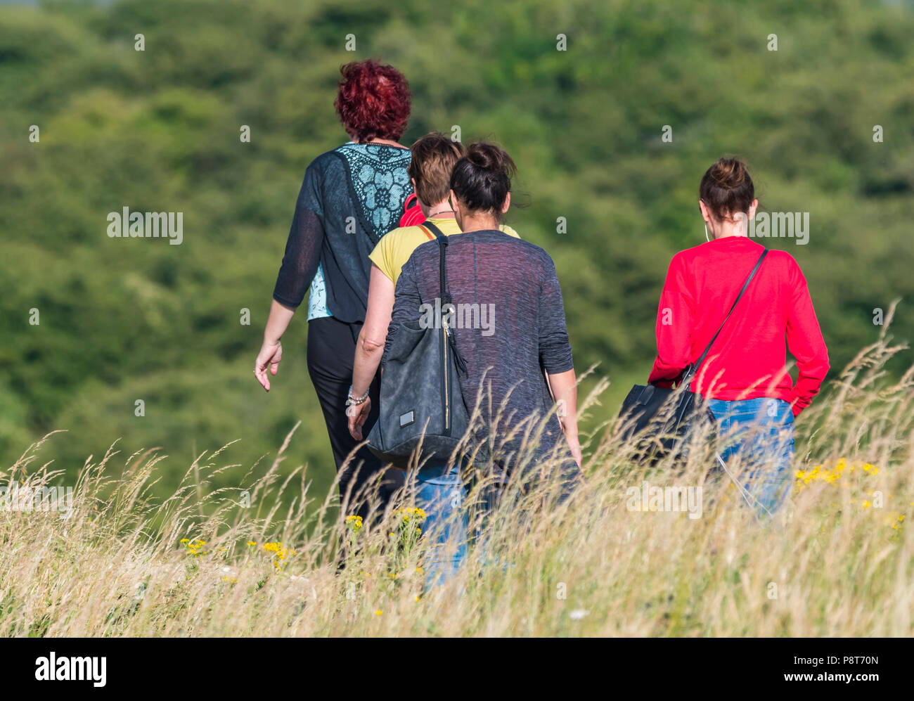 Piccolo gruppo di donne passeggiate in campagna in una serata estiva nel Regno Unito. Foto Stock