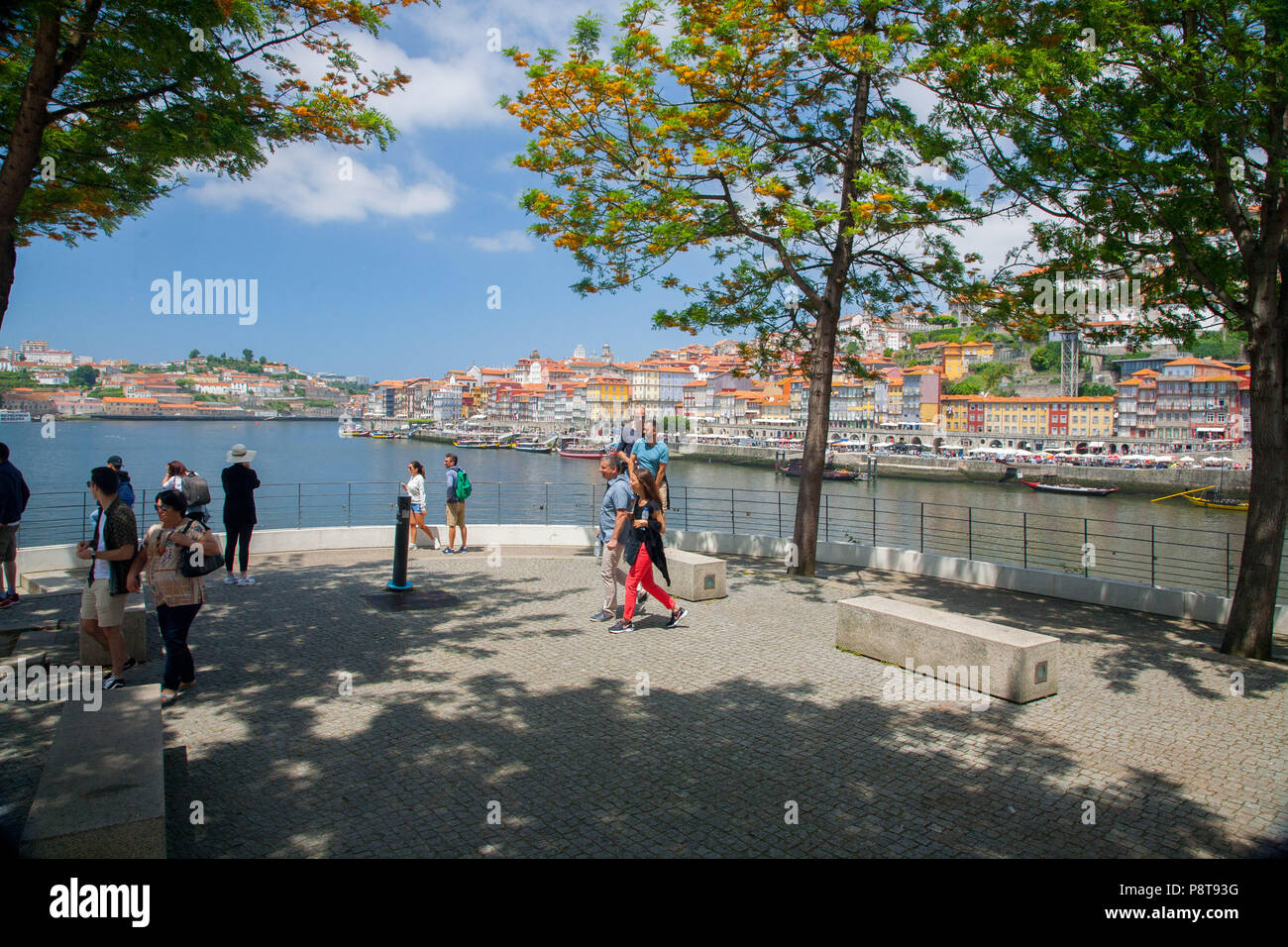 Vista del porto di fiume (Ribeira district) e il fiume Douro da Vila Nova de Gaia, Portogallo Foto Stock