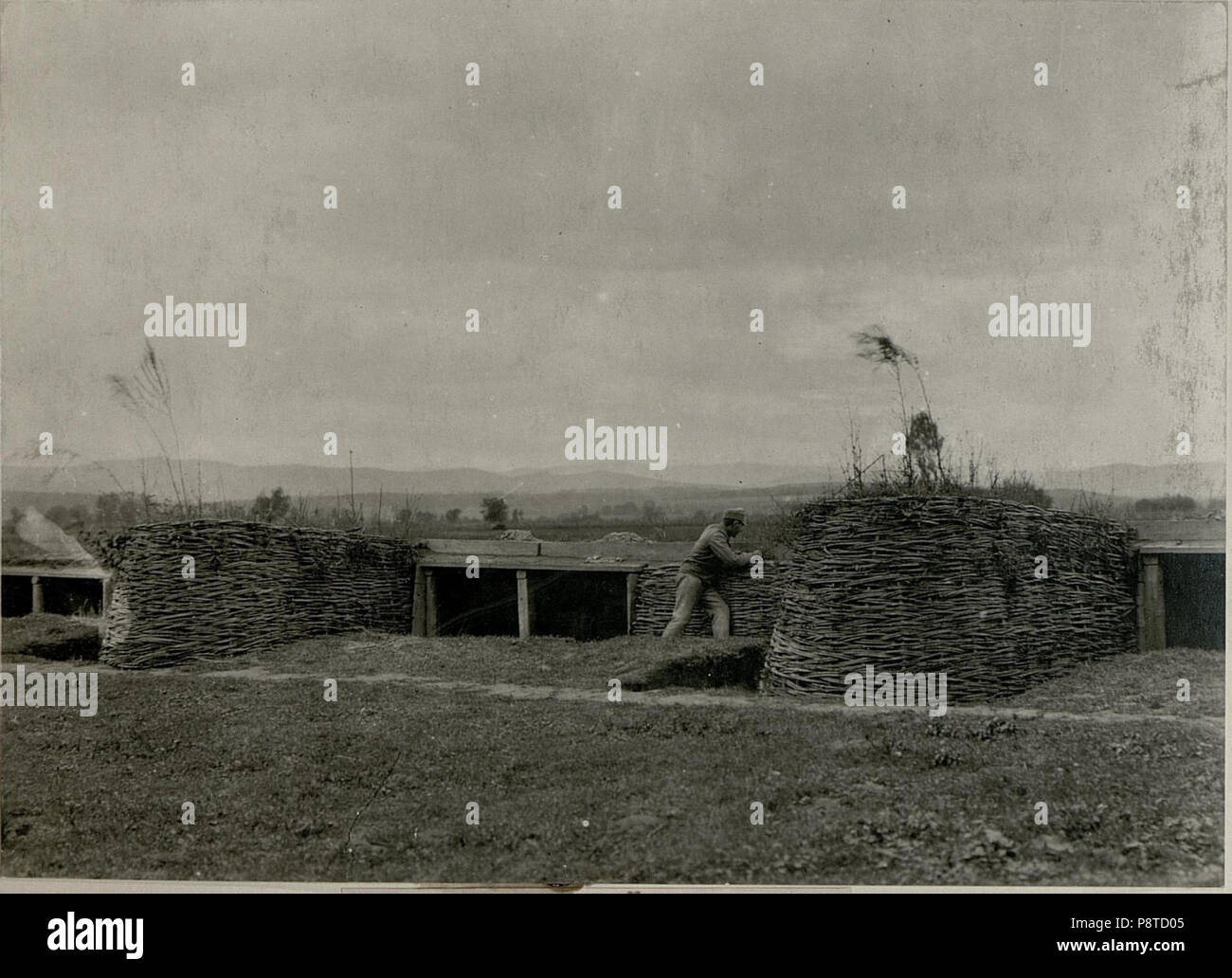 71 Brückenkopf Kolomea BildID (15715596) Foto Stock