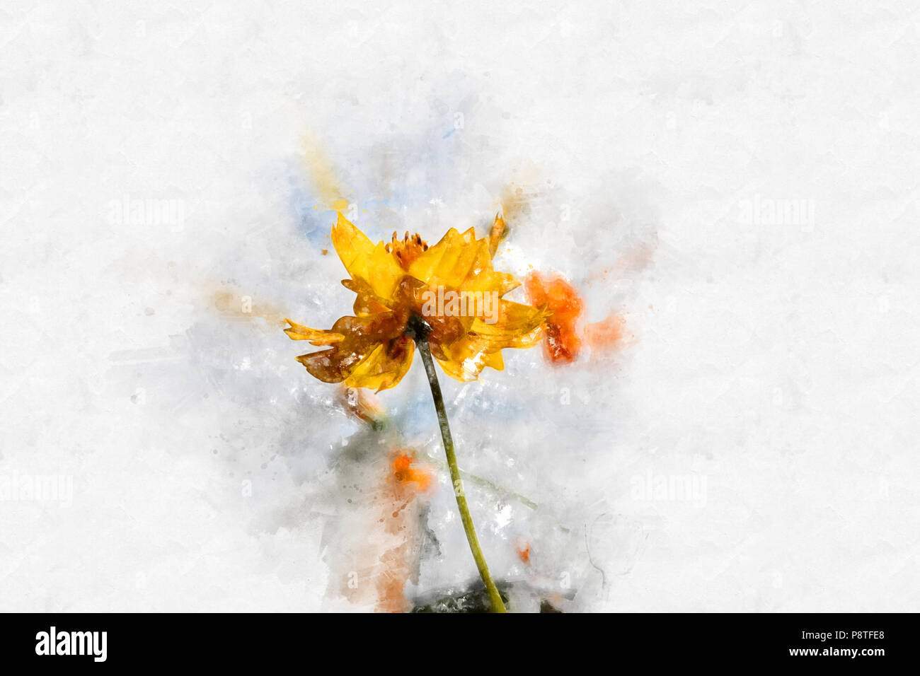 Abstract giallo fiore che sboccia sulla colorata pittura ad acquarello di sfondo e illustrazione digitale spazzola ad arte. Foto Stock