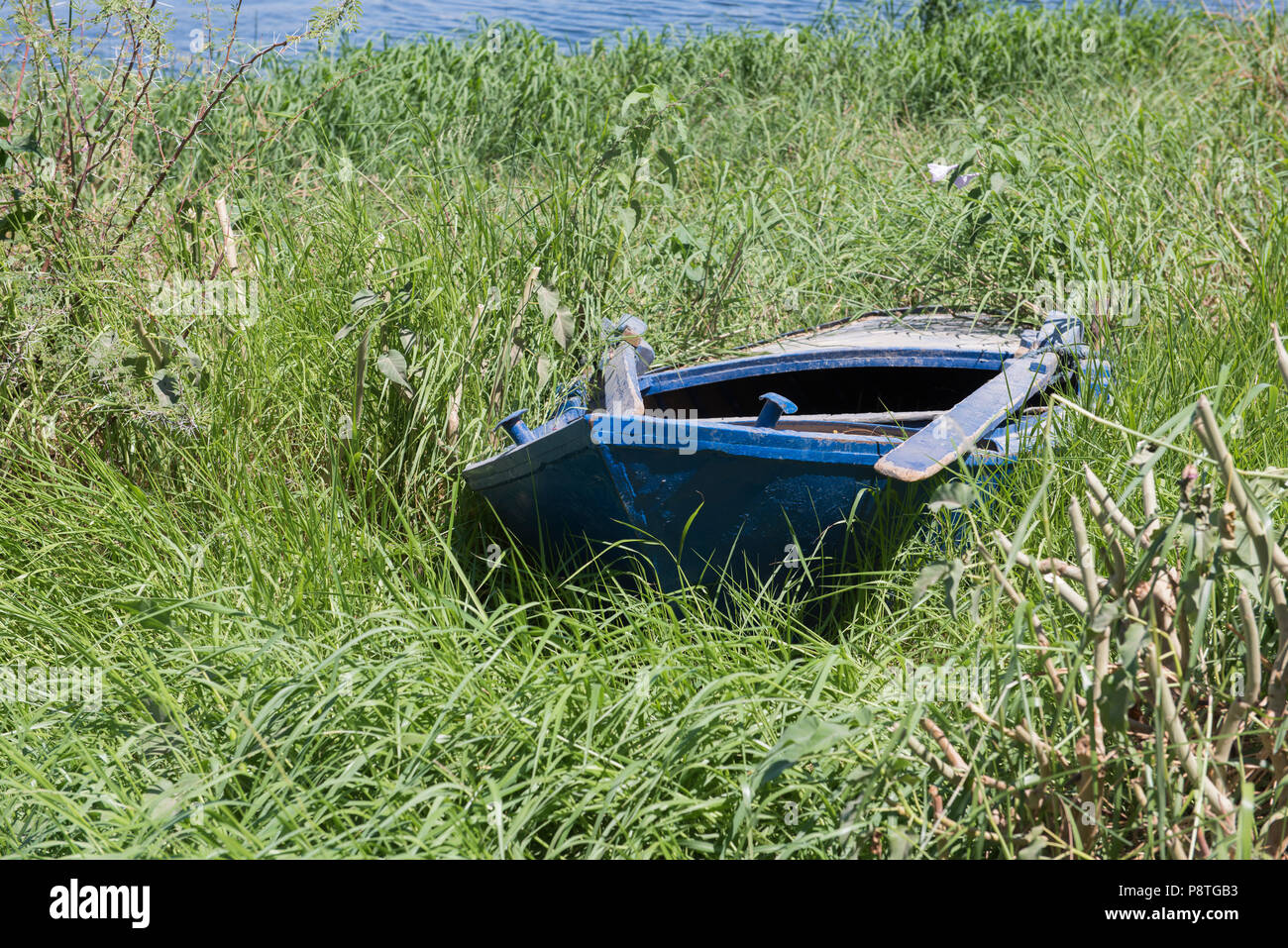 Vecchio abbandonato abbandonati a remi in legno barca affondata in erba reed sulla riva del fiume Foto Stock