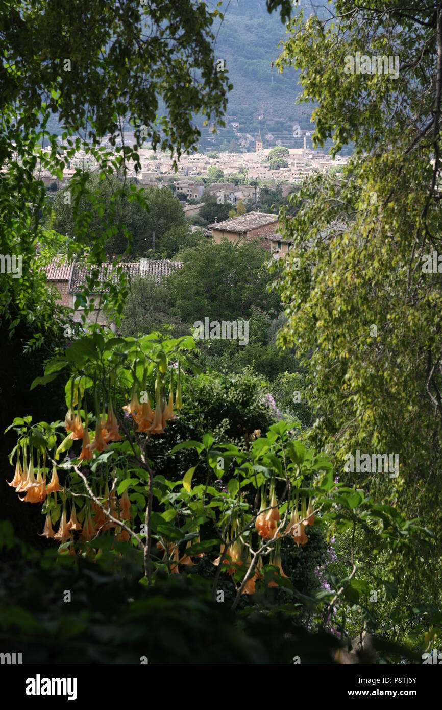 Bellissima vista di Soller Maiorca attraverso la valle dal sentiero incorniciato da alberi e tromba vine fiori Foto Stock