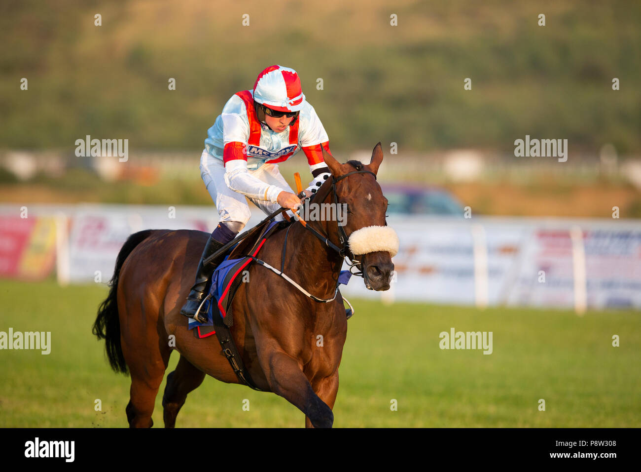 Georgiator (jockey pietre di Lewis) vince una gara a Ffos Las racecourse Foto Stock