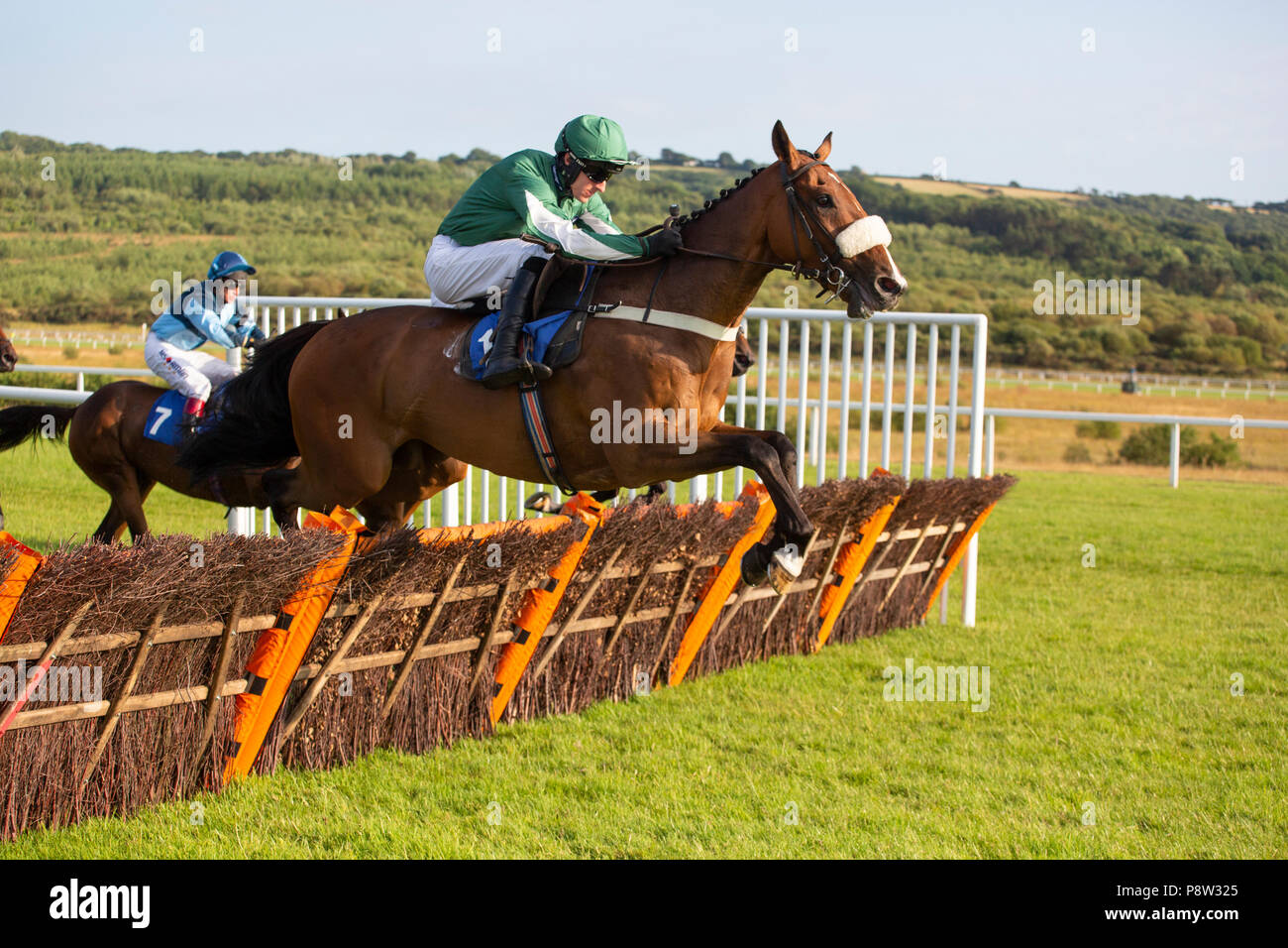 Corte Royale (jockey Adam Cuneo) salta in una gara a Ffos Las racecourse Foto Stock