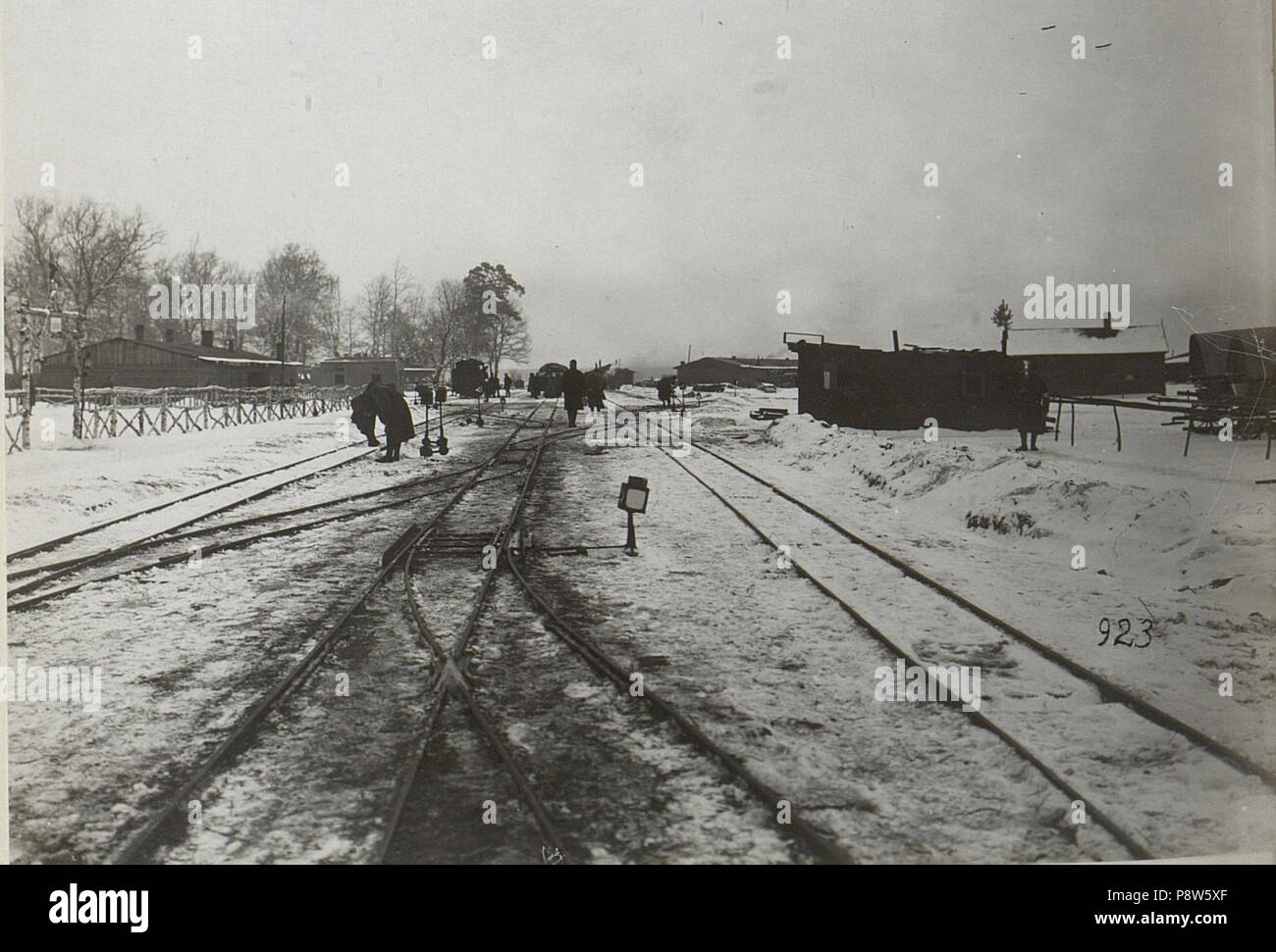 . 49 Bahnanlagen in Galizien, wahrscheinlich nahe Kowel BildID (15682770) Foto Stock