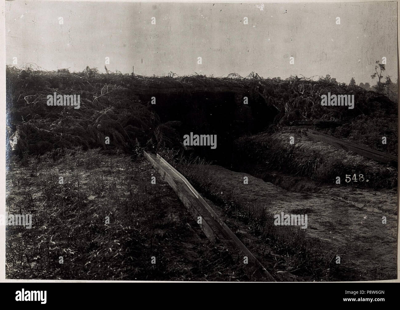 51 Batterie Feldhaubitzenregiment 2 südwestlich von Cholopieczy BildID (15705805) Foto Stock