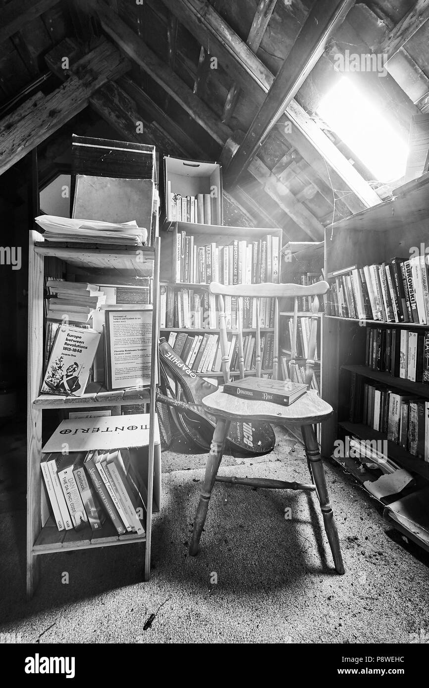Agriturismo interni, camera attico angolo lettura con sedia sotto tetto  soleggiato finestra, il disordine dei libri sugli scaffali (mono Foto stock  - Alamy