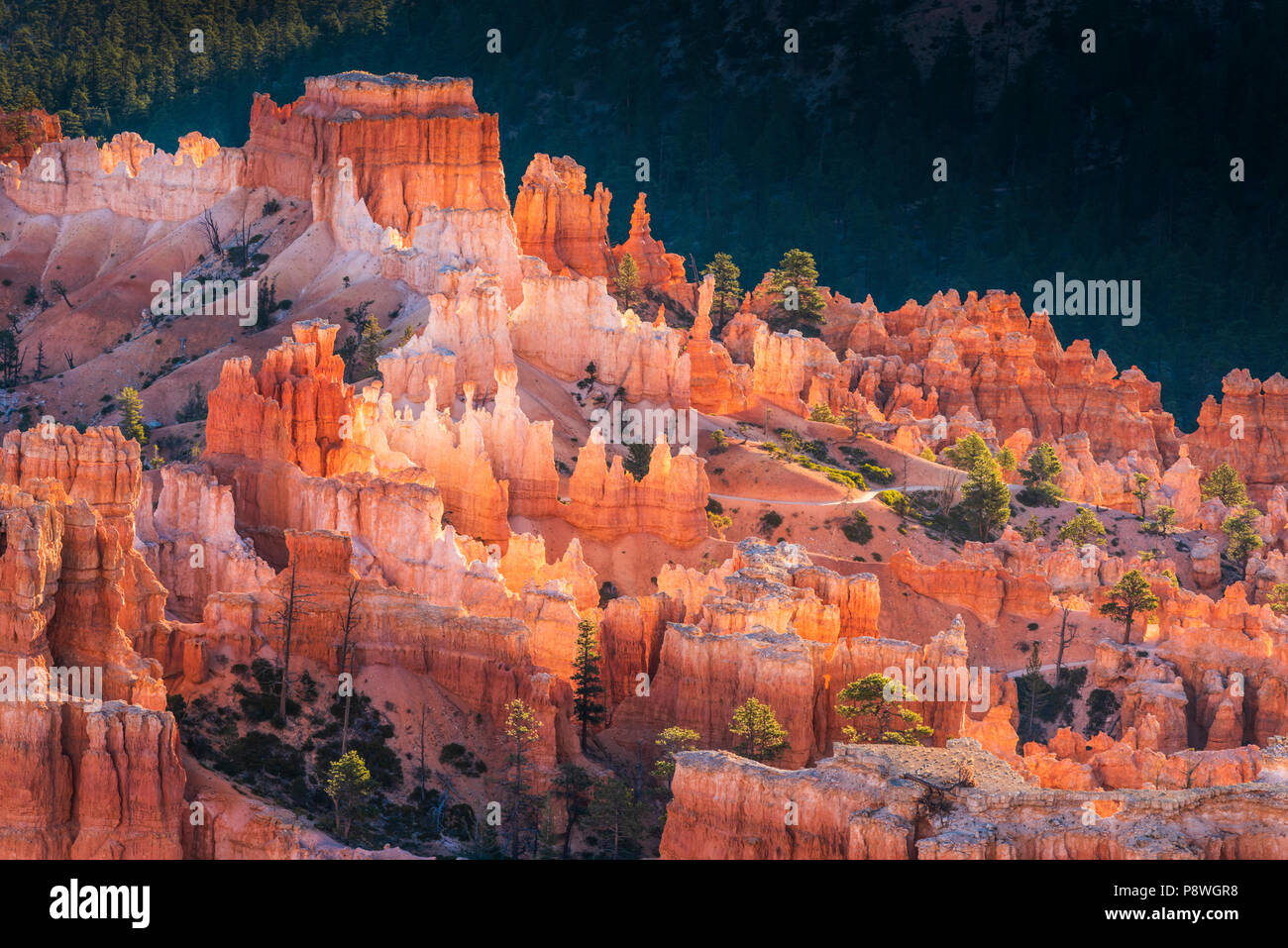 L'acropoli formazione nel Parco Nazionale di Bryce Canyon dello Utah Foto Stock