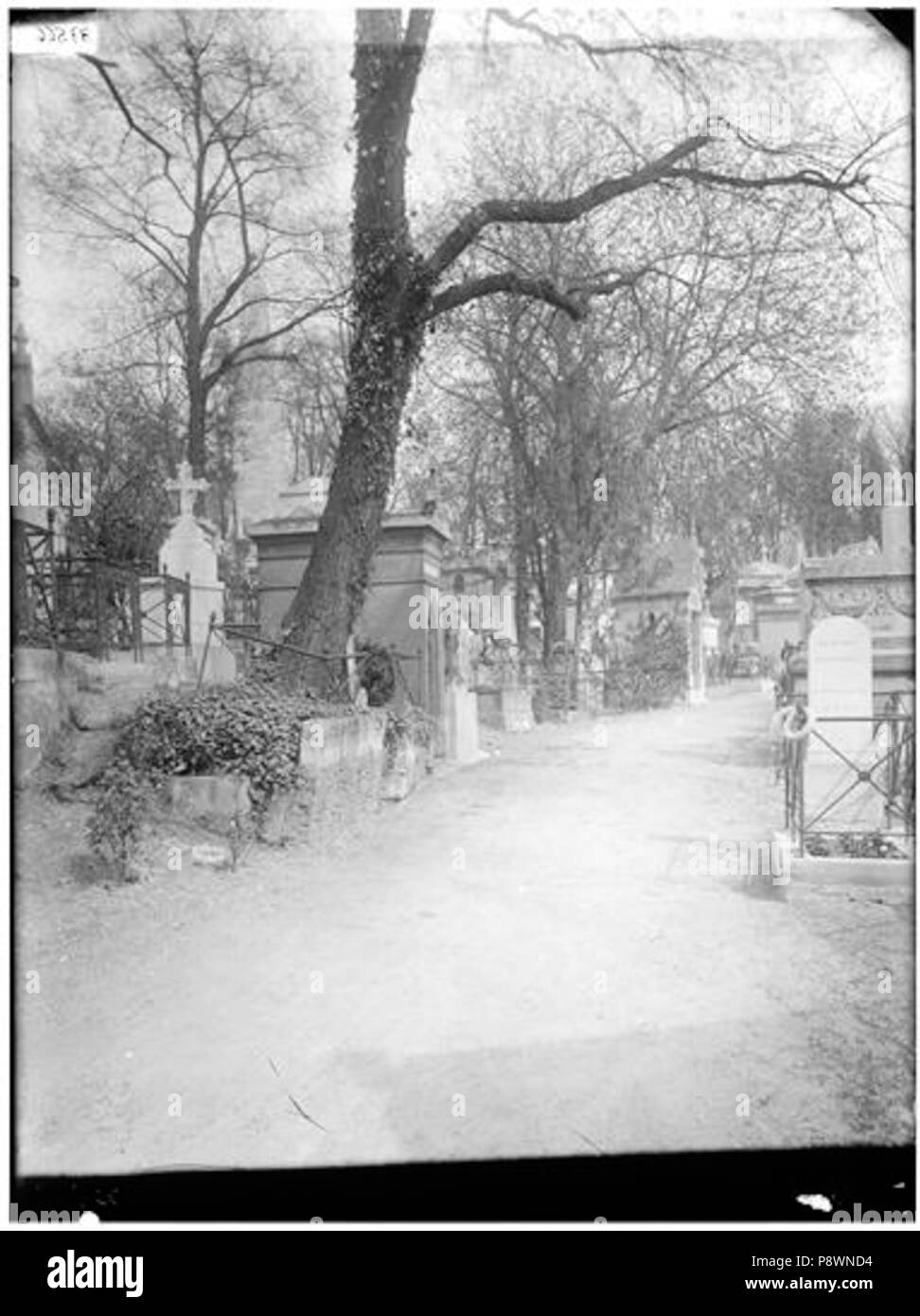 81 Cimetière du Père Lachaise - Vue des Allées - Paris 20 - Médiathèque de l'architecture et du patrimoine - APMH00037566 Foto Stock