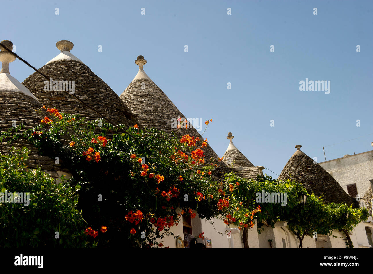 L'Italia, Puglia, Alberobello, casa tipica chiamato trullo. La costruzione a secco caratteristico del centro sud della Puglia. Patrimonio mondiale dell UNESCO Foto Stock