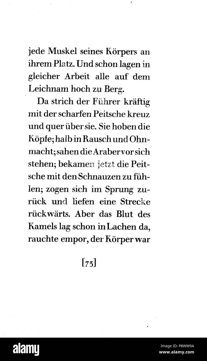 99 De Kafka Landarzt 073 Foto Stock