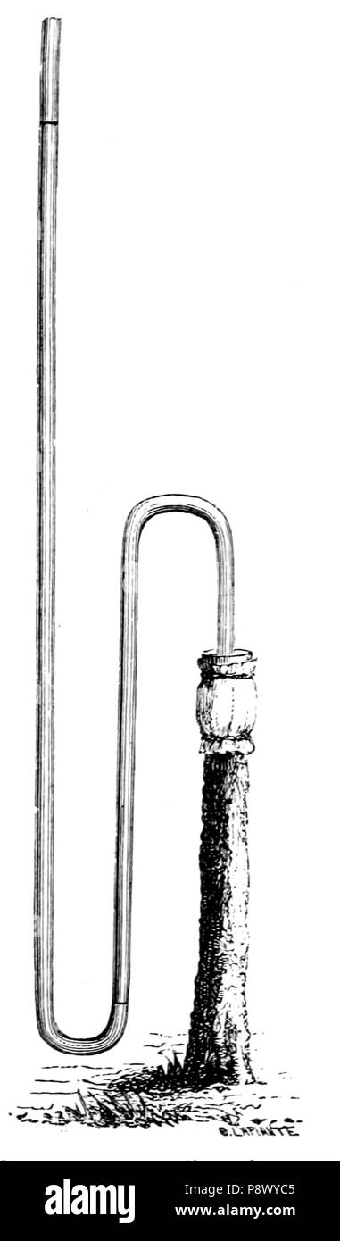 105 De voeding der planten(1886) p135 afb61 Foto Stock