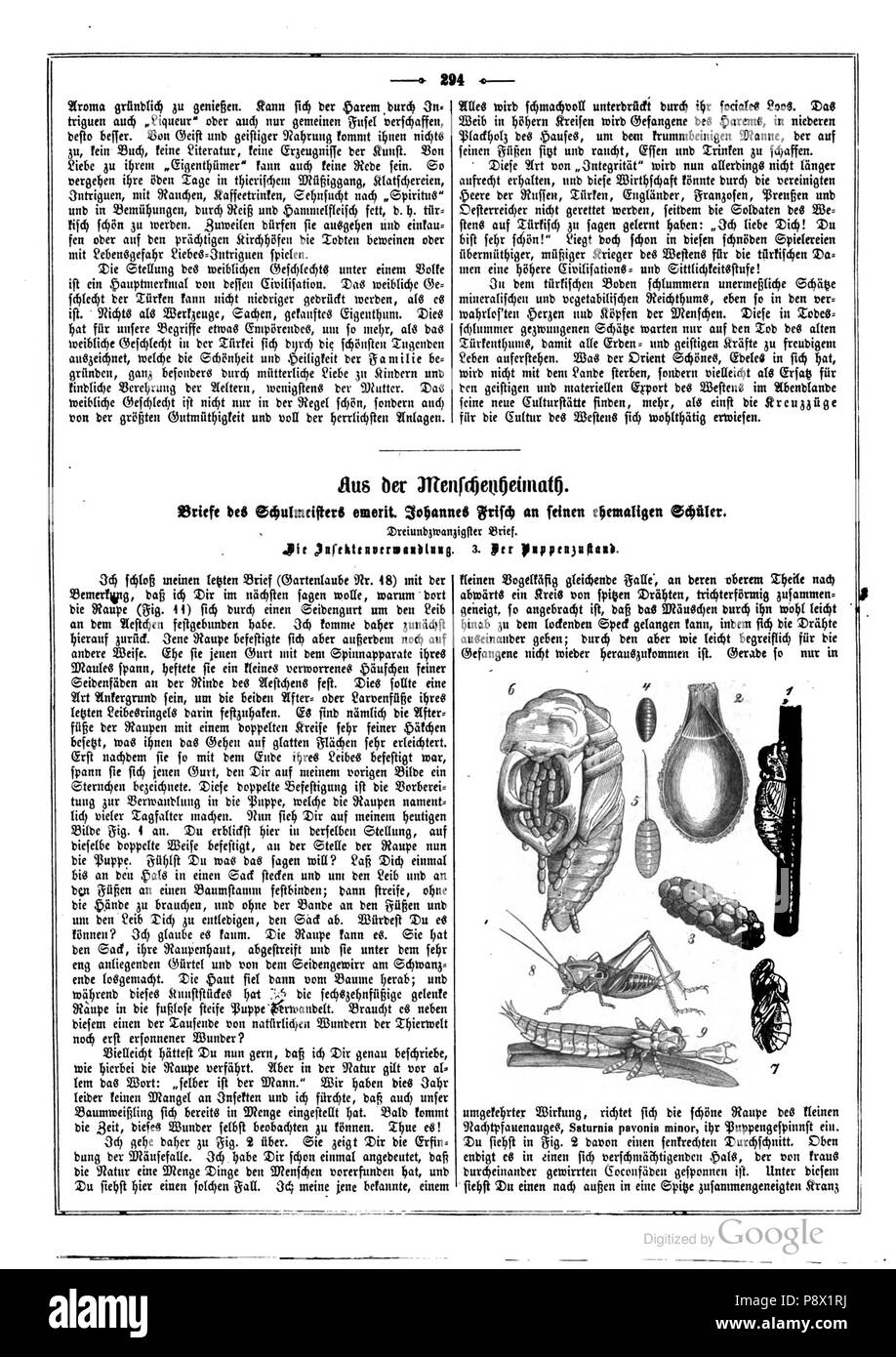 . 121 Die Gartenlaube (1854) 294 Foto Stock