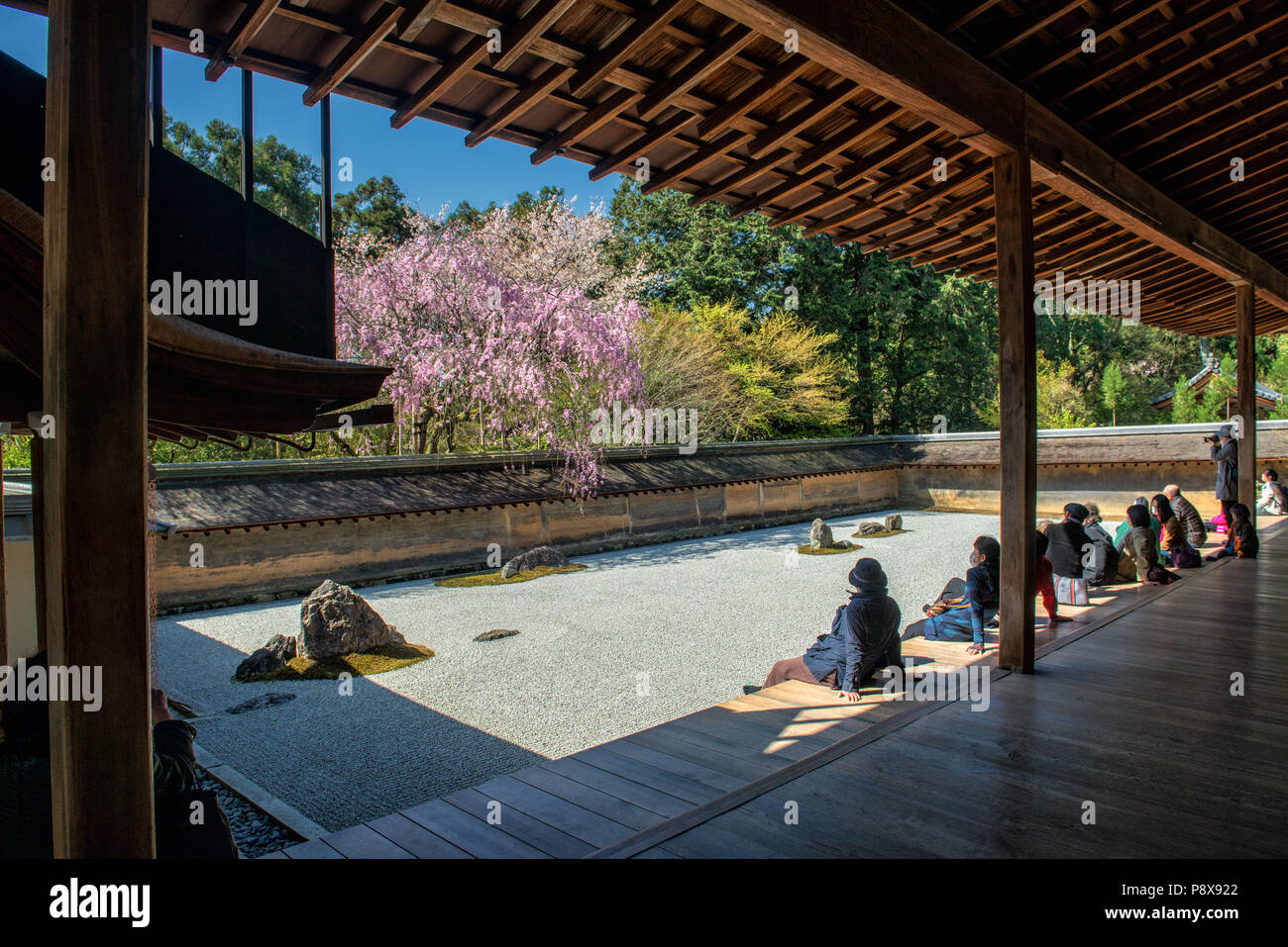 I turisti giapponesi godetevi la tranquillità presso il Tempio di Ryoanji a Kyoto, in Giappone. Questo Zen tempio Buddista è famosa per il suo giardino di roccia. Foto Stock