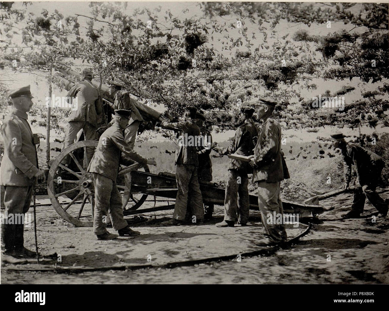 114 Deutsches Fliegerabwehrgeschütz in maskierter Stellung BildID (15529143) Foto Stock