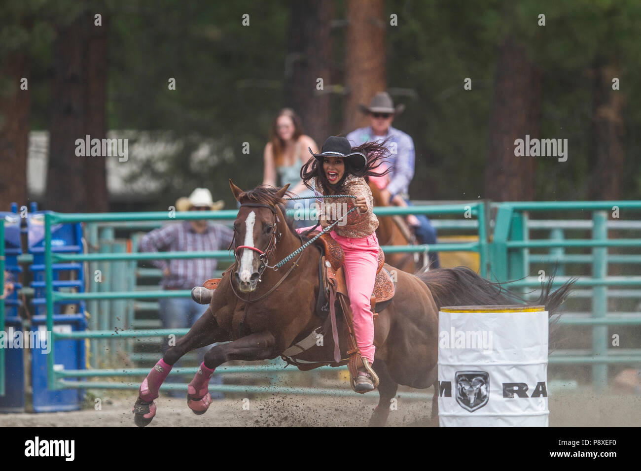 Onorevoli Barrel racing excitng e in rapido movimento di cavalli. Curve strette, piena velocità fuori, bella cowgirls concorrenti. Cranbrook Pro Rodeo Foto Stock