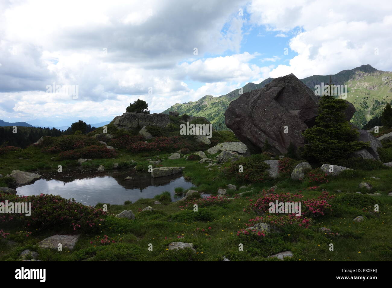 La catena montuosa del Lagorai la gamma della montagna nelle Alpi orientali in Trentino, Italia Foto Stock