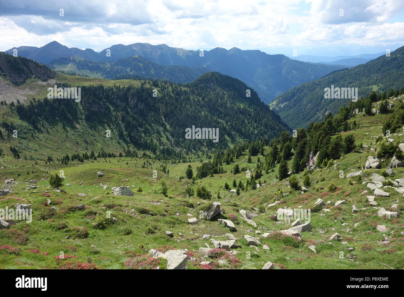 La catena montuosa del Lagorai la gamma della montagna nelle Alpi orientali in Trentino, Italia Foto Stock