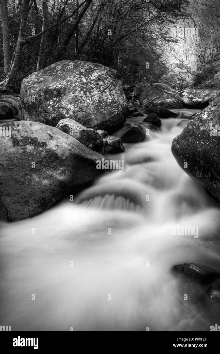 Big Creek in cascata il Great Smoky Mountain National Park. Foto Stock