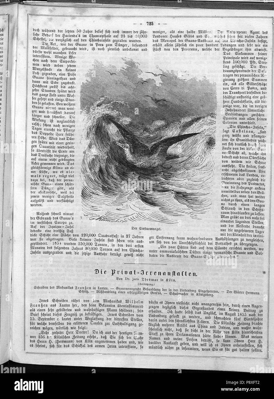 . 128 Die Gartenlaube (1858) 725 Foto Stock