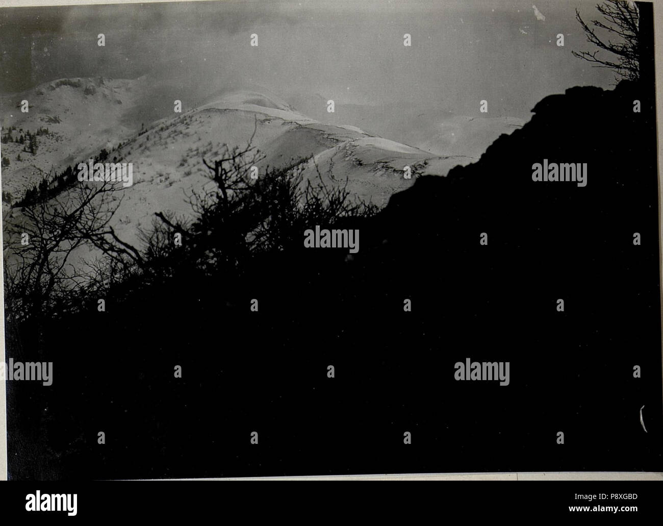 . 449 panorama, Grappa-Gruppe. Standpunkt Monte Pertica. (3. Teilbild zu WK1 ALB083 24410A) (BildID 15633655) Foto Stock