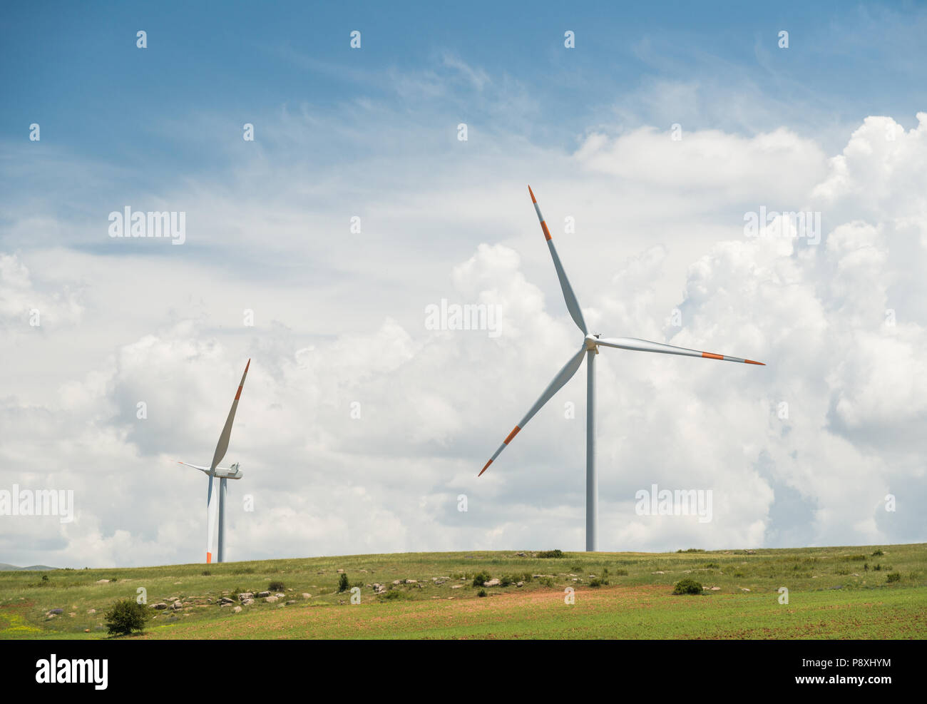 Le turbine eoliche, verde energie rinnovabili concetto Foto Stock