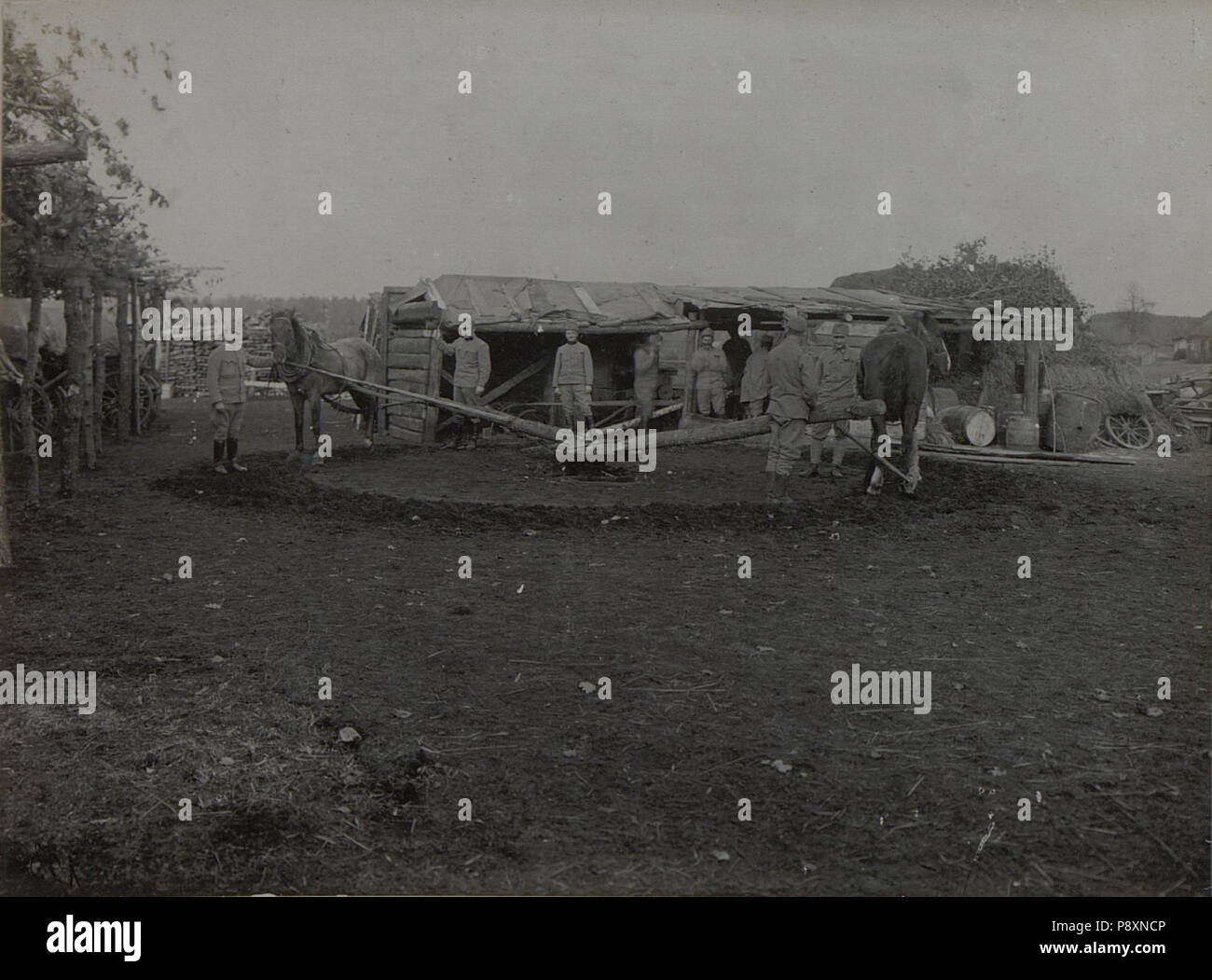 21 37. Divisionssanitätsanstalt beim Dreschen in Palzca, aufgenommen am 10. Dezember 1915 (BildID 15455821) Foto Stock