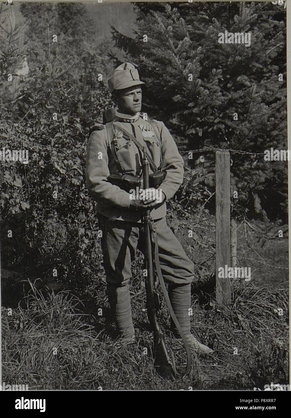 . 284 Feldwebel VEIDEL Rudolf des k.&amp; k. Inftr. Regt. No.100. 2.Battailon Goldene Tapferkeitsmadaille. (BildID 15457964) Foto Stock
